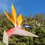 ヴィラ Casa Avos & Netas, Fantastic View, Near The Nature! アルコ・ダ・カリェタ