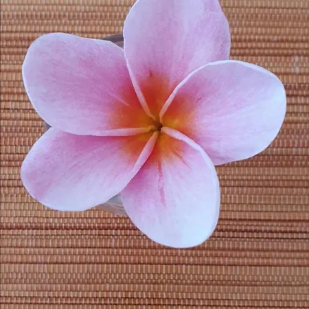 Casa Avos & Netas, Fantastic View, Near The Nature! Villa Arco da Calheta (Madeira)