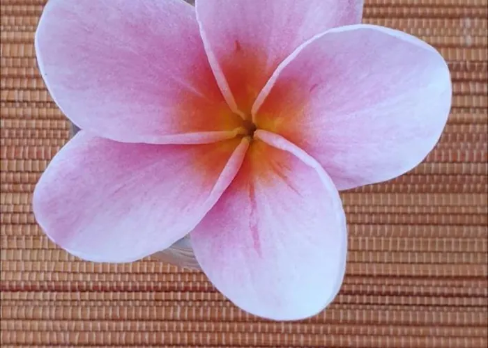 Casa Avos & Netas, Fantastic View, Near The Nature! 别墅 阿科达卡列塔