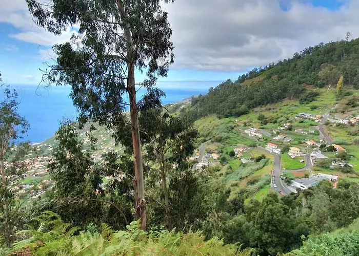 Casa Avos & Netas, Fantastic View, Near The Nature! Arco da Calheta (Madeira)